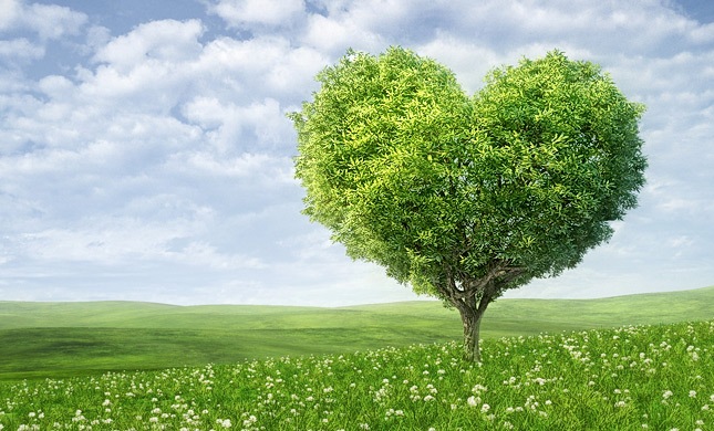 Passeggiata Ecologica III Edizione - sabato 31 maggio 2025